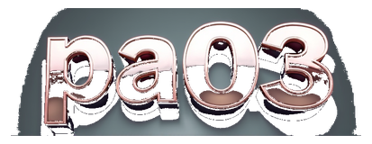 pa03 logo